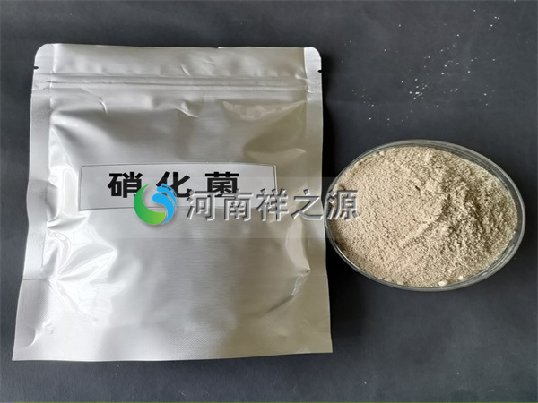 �����������N